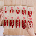 Montessori Counting Set & Counting Rods
